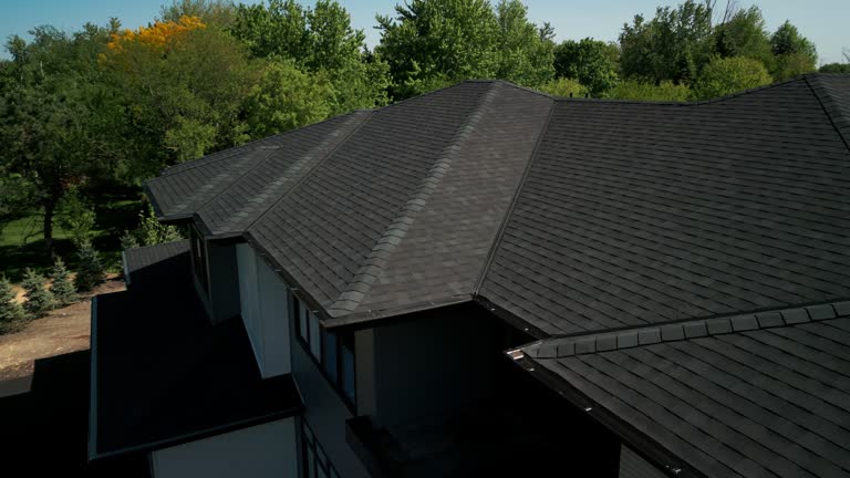 Best Sheet Metal Roofing  in Daleville, IN