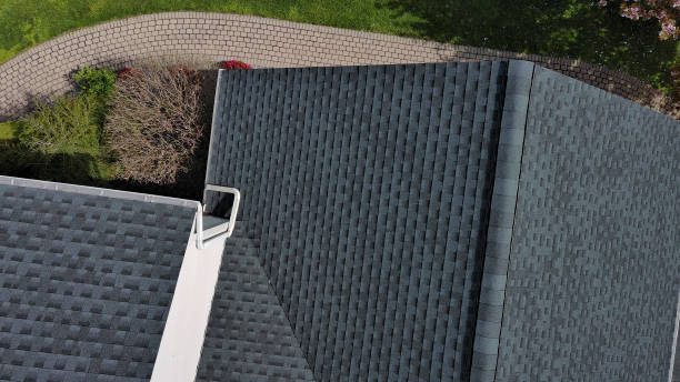 Best Hot Roofs  in Daleville, IN