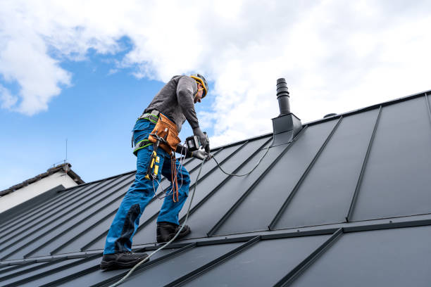 Best Roof Maintenance and Cleaning  in Daleville, IN